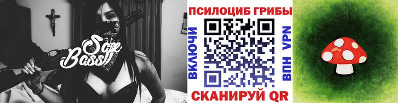 наркота  Венёв  Галлюциногенные грибы Psilocybine cubensis 